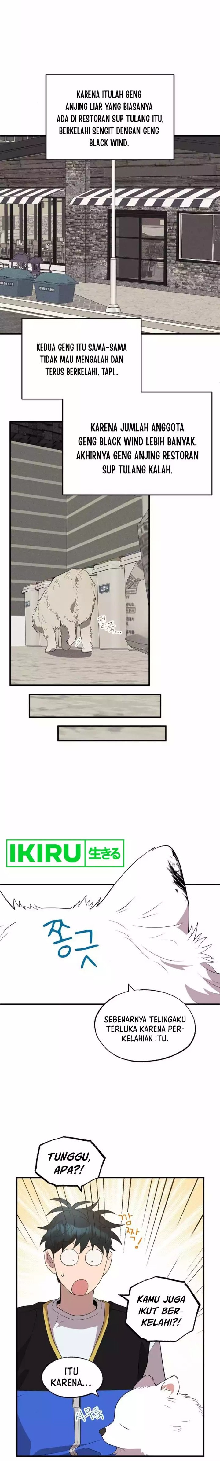 Magical Realm Shopkeeper - Chapter 40 - Page 17