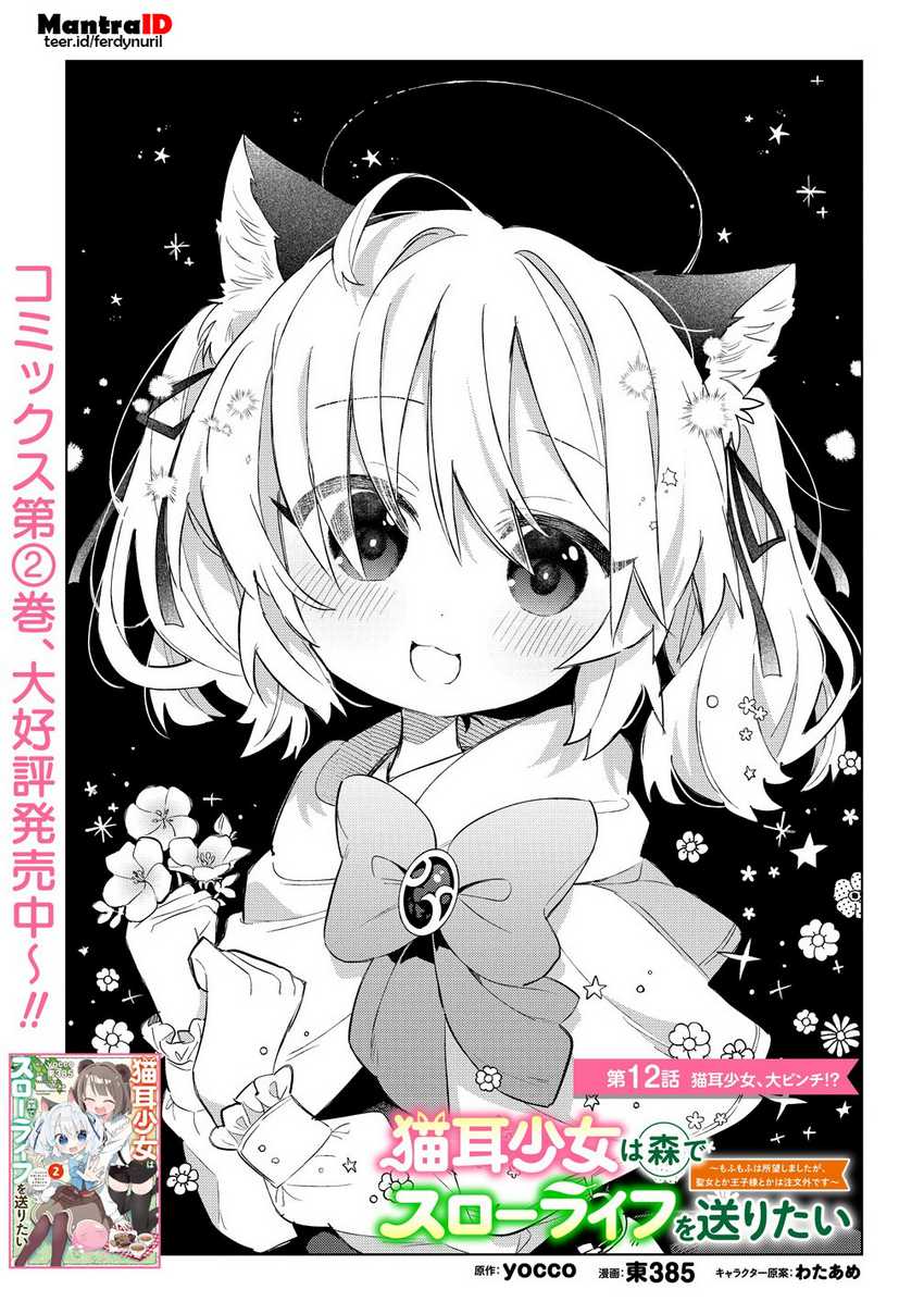 Nekomimi Shoujo wa Mori de Slow Life wo Okuritai: Mofumofu wa Shomou Shimashita ga, Seijo to ka Ouji-sama to ka wa Chuumongai desu Chapter 12.1