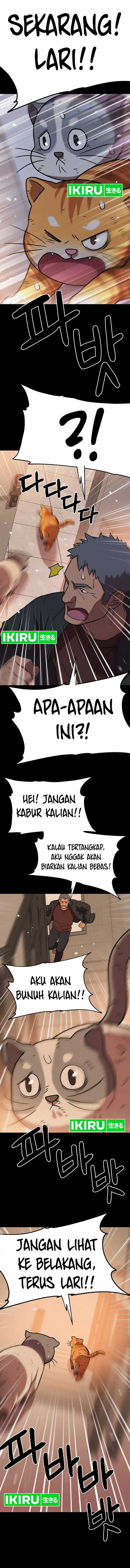 Rainbow Bridge Watchman Chapter 137