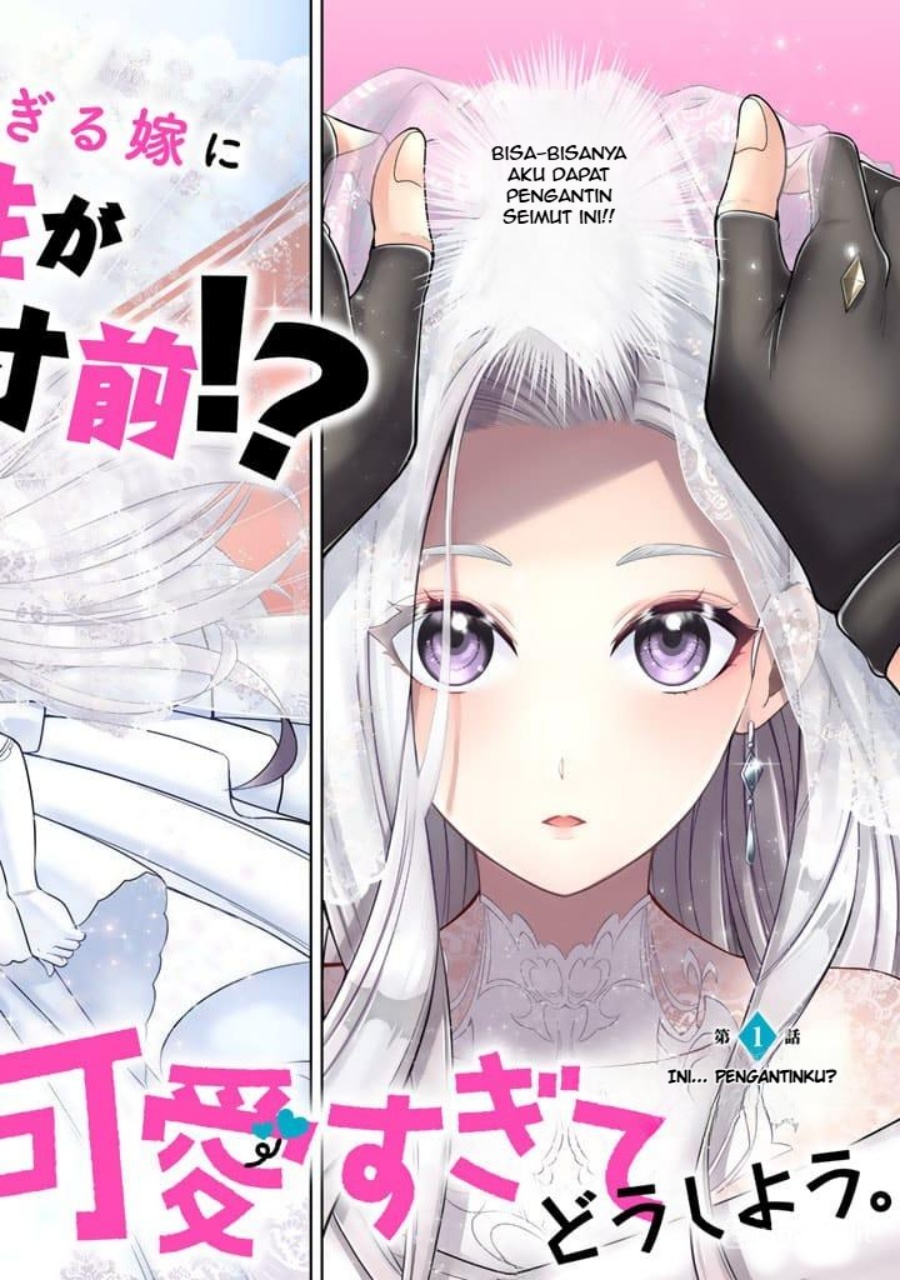 Rinkoku kara Kita Yome ga Kawaisugite Doushiyou Chapter 01 page 6