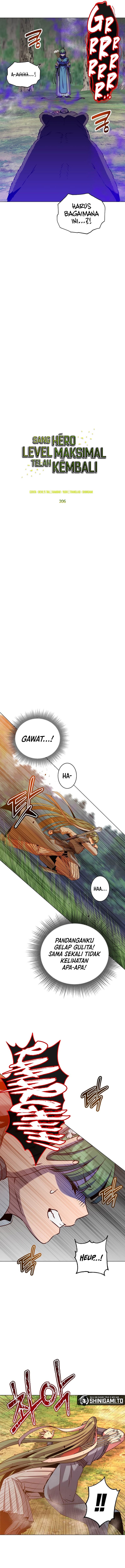 The Max Level Hero Has Returned!  Chapter 206