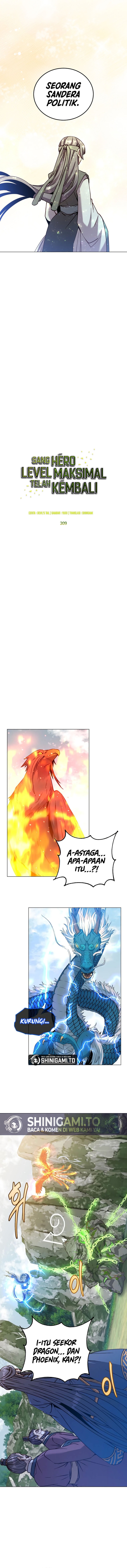The Max Level Hero Has Returned!  Chapter 209
