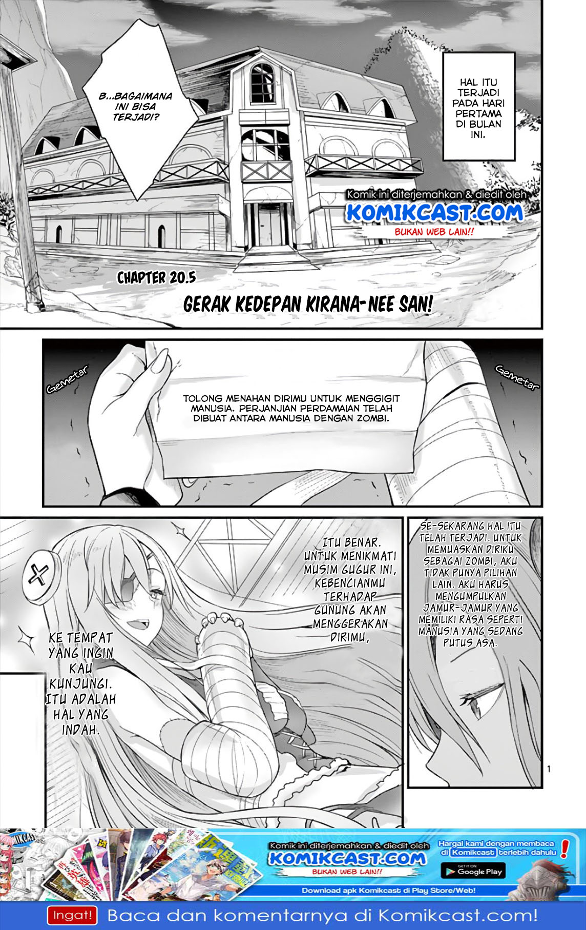 Yuusha-sama, Yukagen wa Ikaga desu ka? - Chapter 20.5 - Page 2